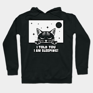 Sleeping Dreaming Cat, Cat Nap Hoodie